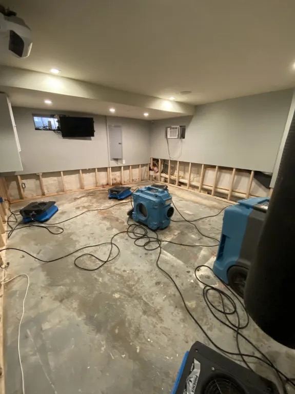 Basement room with the lower section of the walls removed to the studs and a bare concrete floor, with a blue air scrubber, a dehumidifier, and air movers connected by power cords.